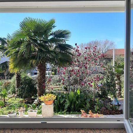 Apartments Summer Bloom Кърк Екстериор снимка