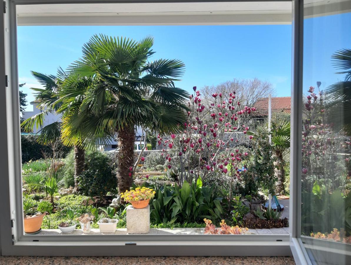 Apartments Summer Bloom Кърк Екстериор снимка