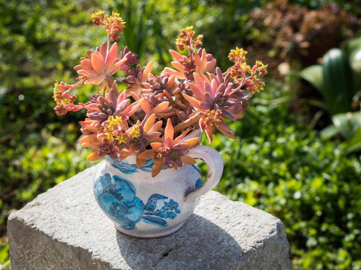 Apartments Summer Bloom Кърк Екстериор снимка