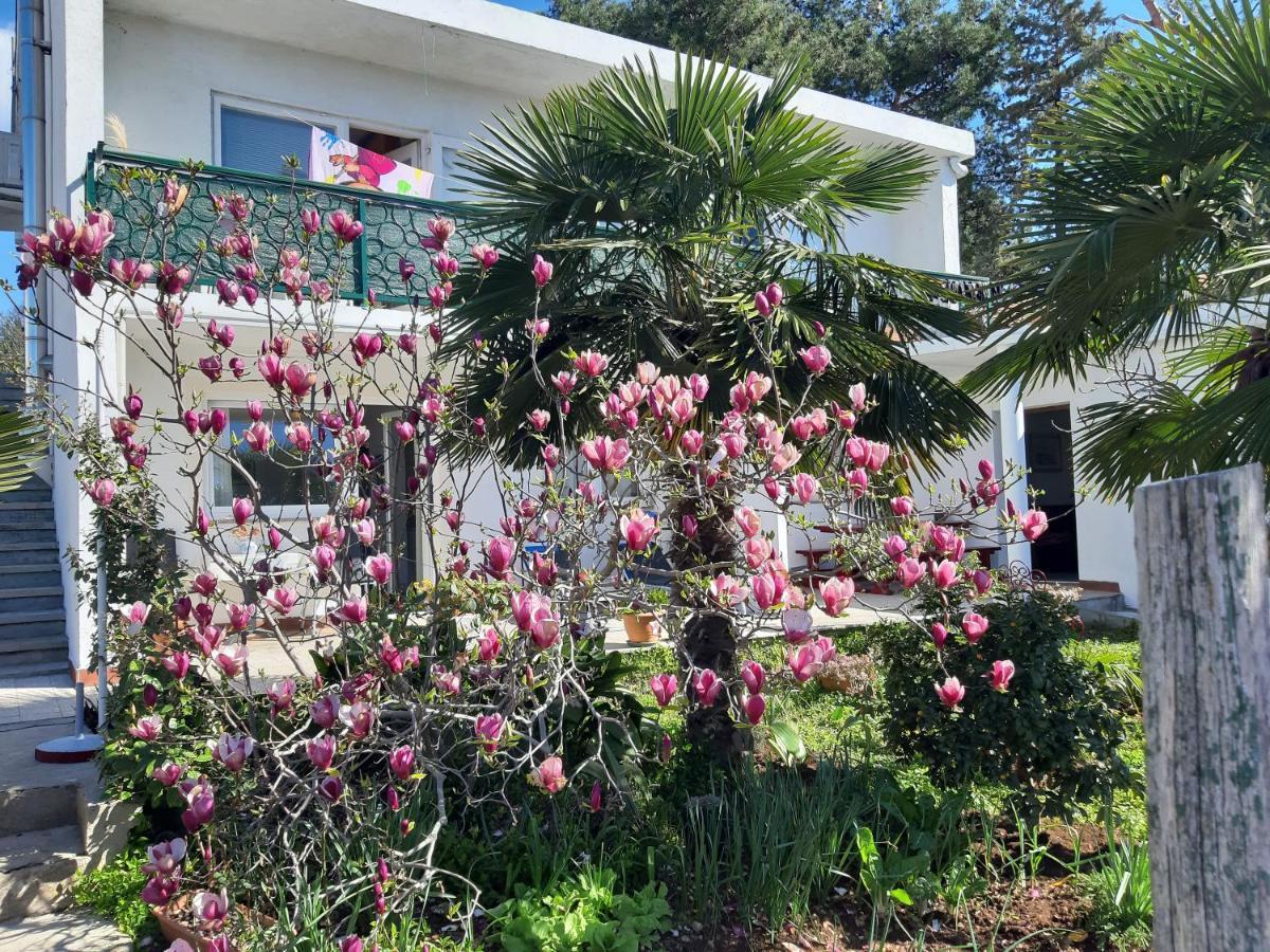 Apartments Summer Bloom Кърк Екстериор снимка